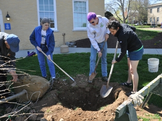2nd Arbor Day
